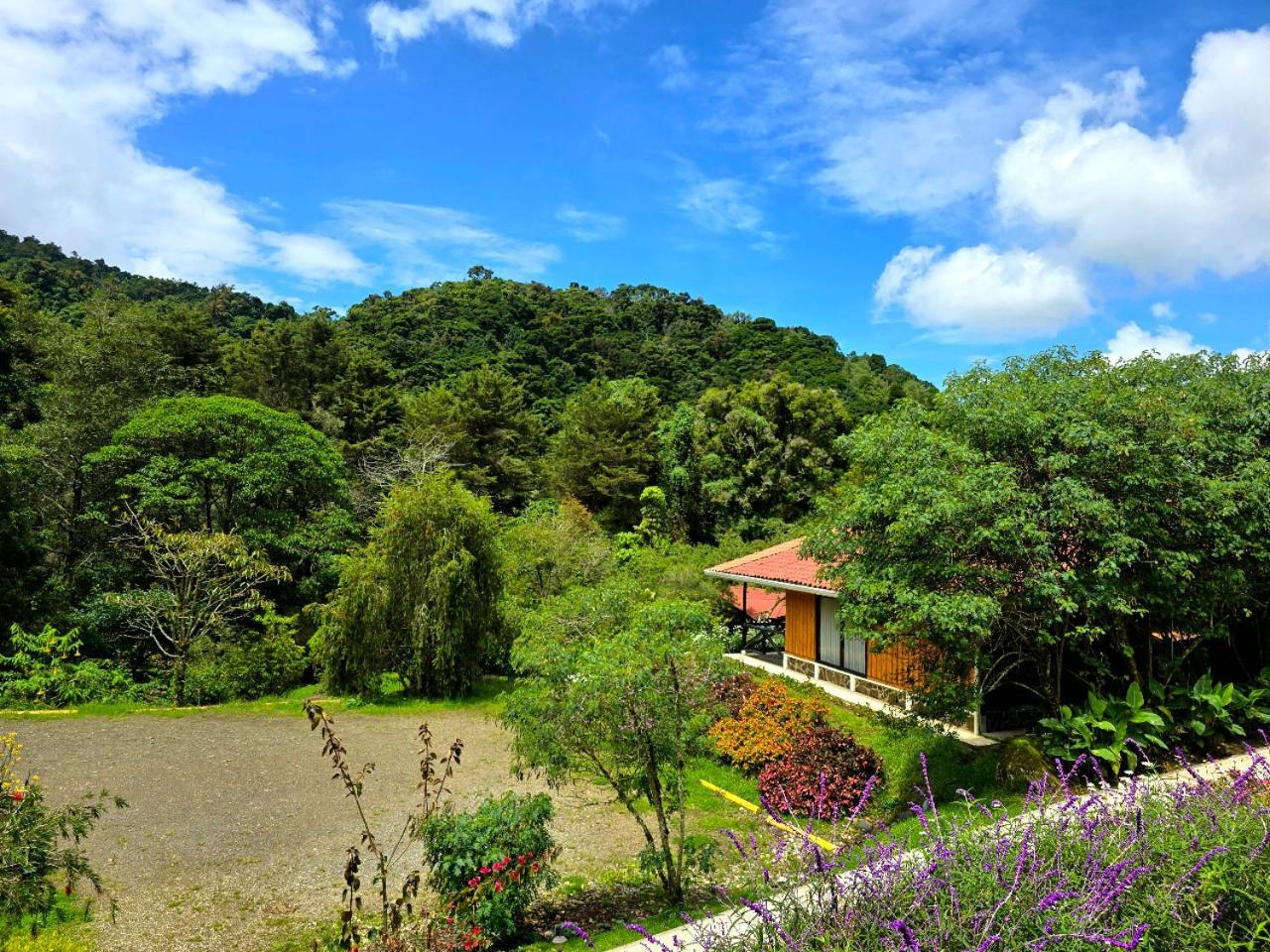 Hotel De Montana Suria San Gerardo de Dota Cameră foto